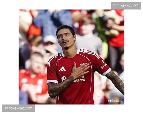 努涅斯进球数据抢眼，成球队锋线新亮点